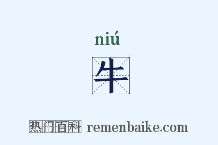 牛是什么意思的图片
